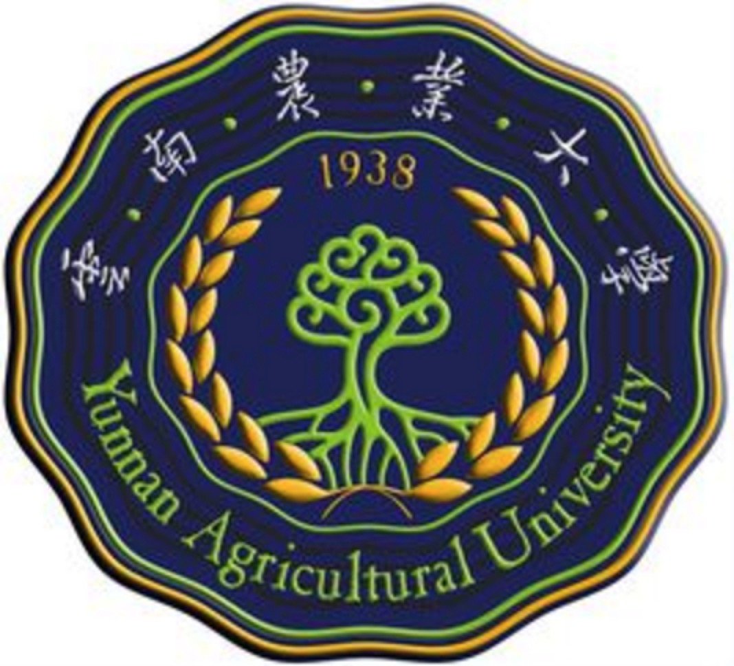 获49629港澳财富网新人权益部全国